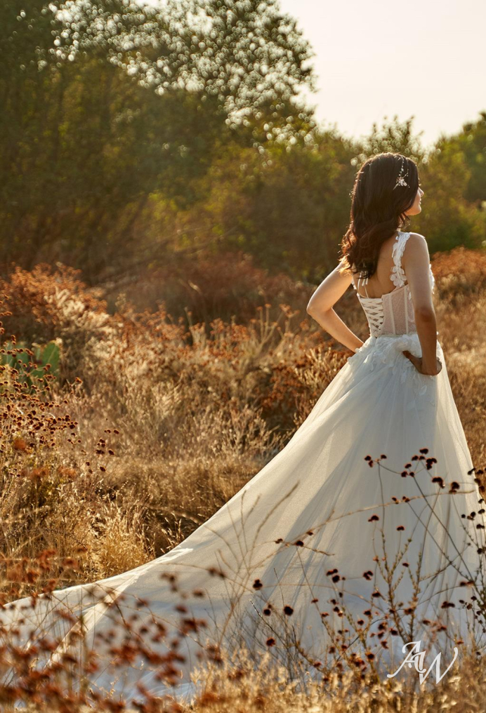 Wedding Dresses in